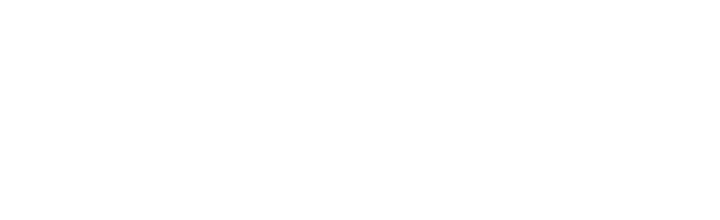 Logo with name, horizontal, white